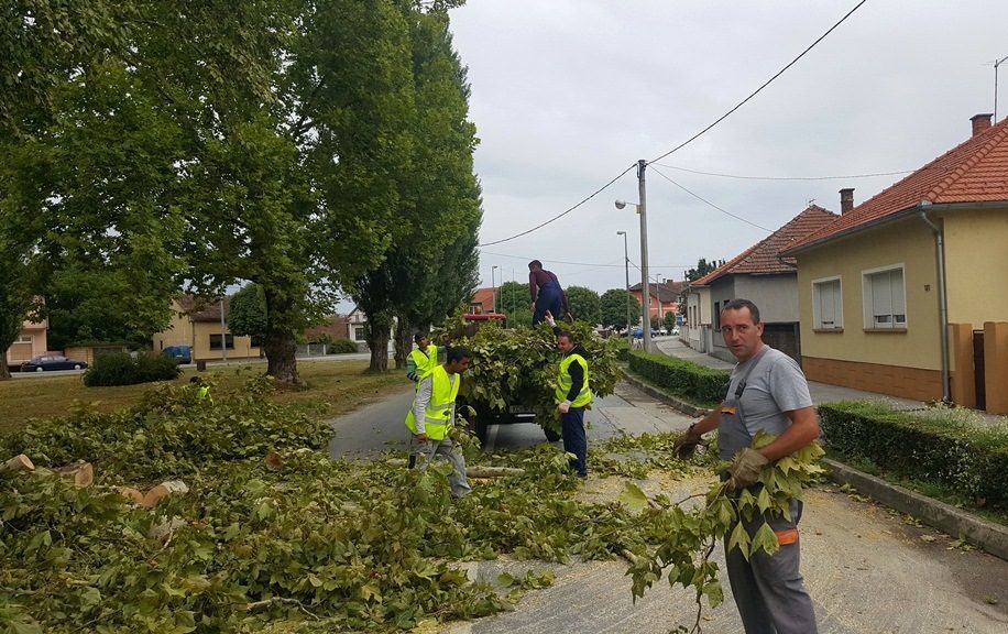 Djelatnici Komunalnih usluga u Đurđevcu odvoze granje