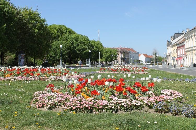 Cvijeće u centru Koprivnice