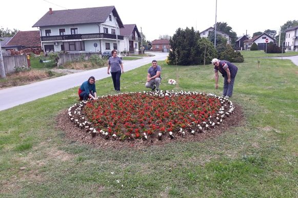 Članice Udruge Ivanečko srce uređuju kružni tok u Koprivničkom Ivancu