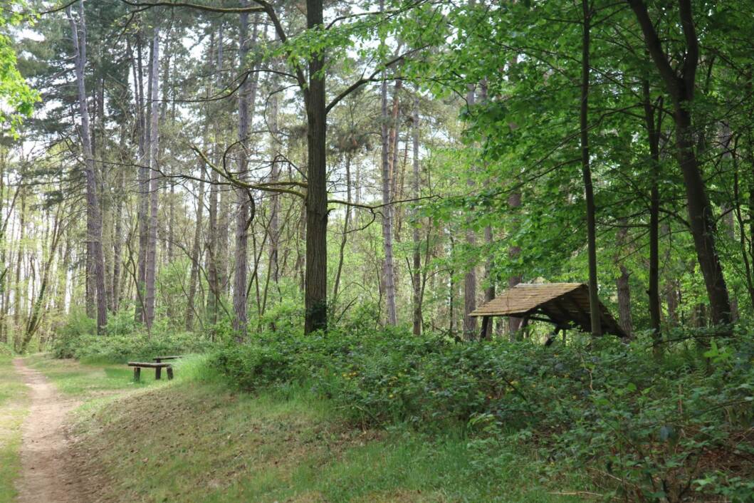 Park šuma Borik