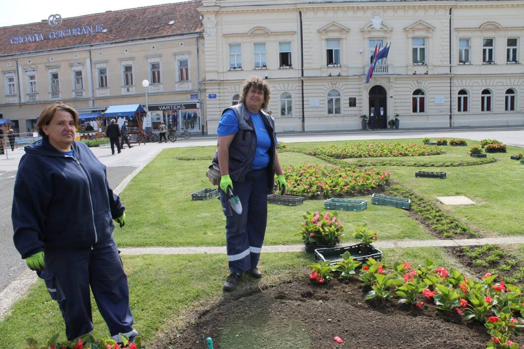 Zaposlenici koprivničkog Komunalca sade cvijeće na Zrinskom trgu