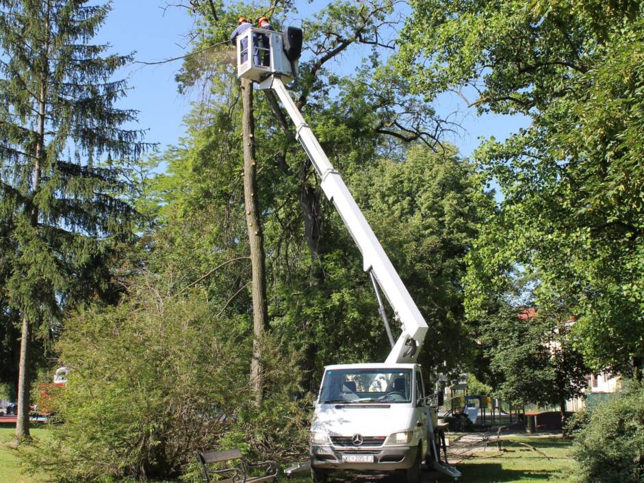 Rušenje osušenih stabla u koprivničkom parku