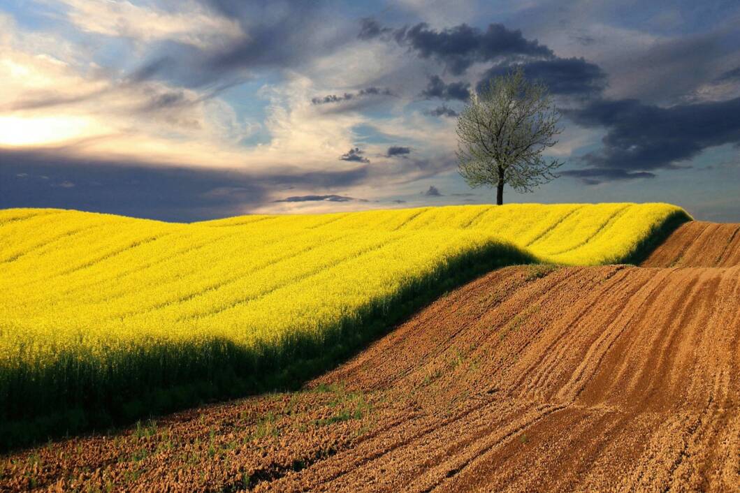 Proljeće, fotografija Željka Cara