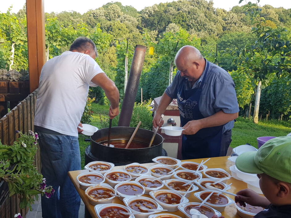 Završno druženje sudionika scenskog prikaza Legende o Picokima