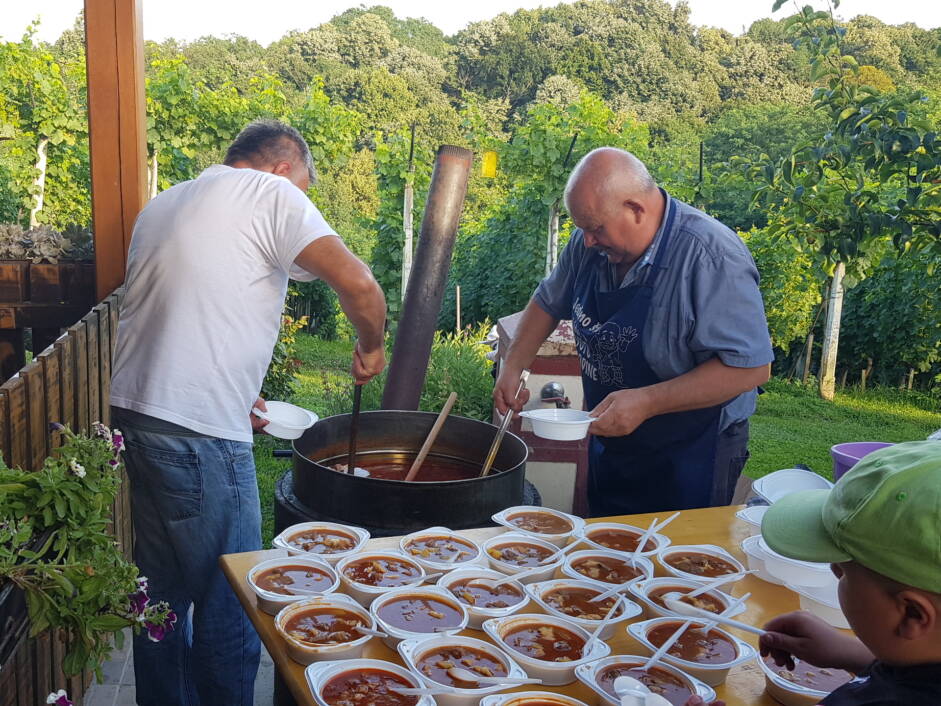 Završno druženje sudionika scenskog prikaza Legende o Picokima