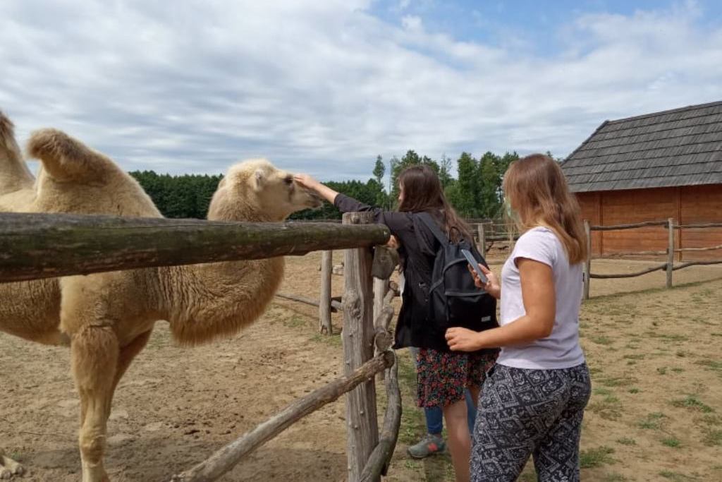 Mlade volonterke u Hrvatskoj Sahari