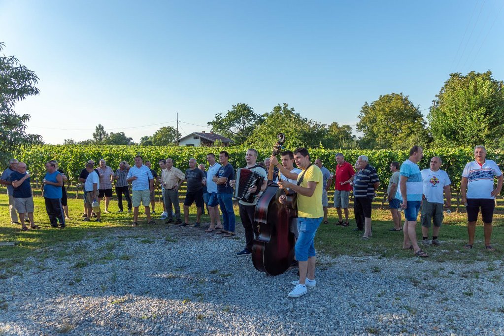 Bartolovo u vinogradu obitelji Matočec