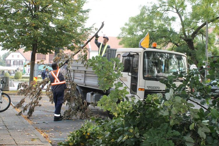 Rezanje granja u Nemčićevoj ulici u Koprivnici