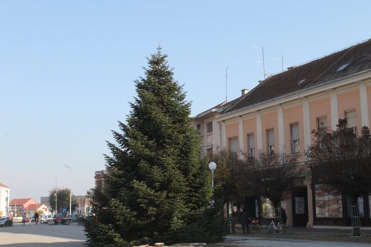 Božićno drvce na Trgu bana Jelačića u Koprivnici