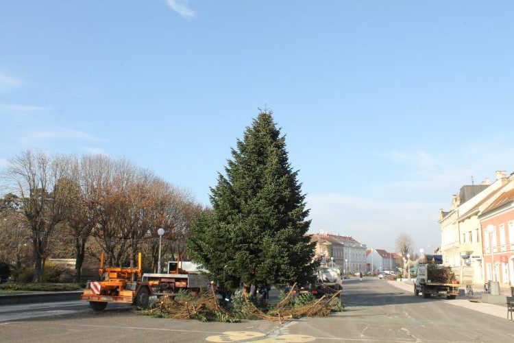 Postavljanje božićnog drvca na Zrinskom trgu u Koprivnici