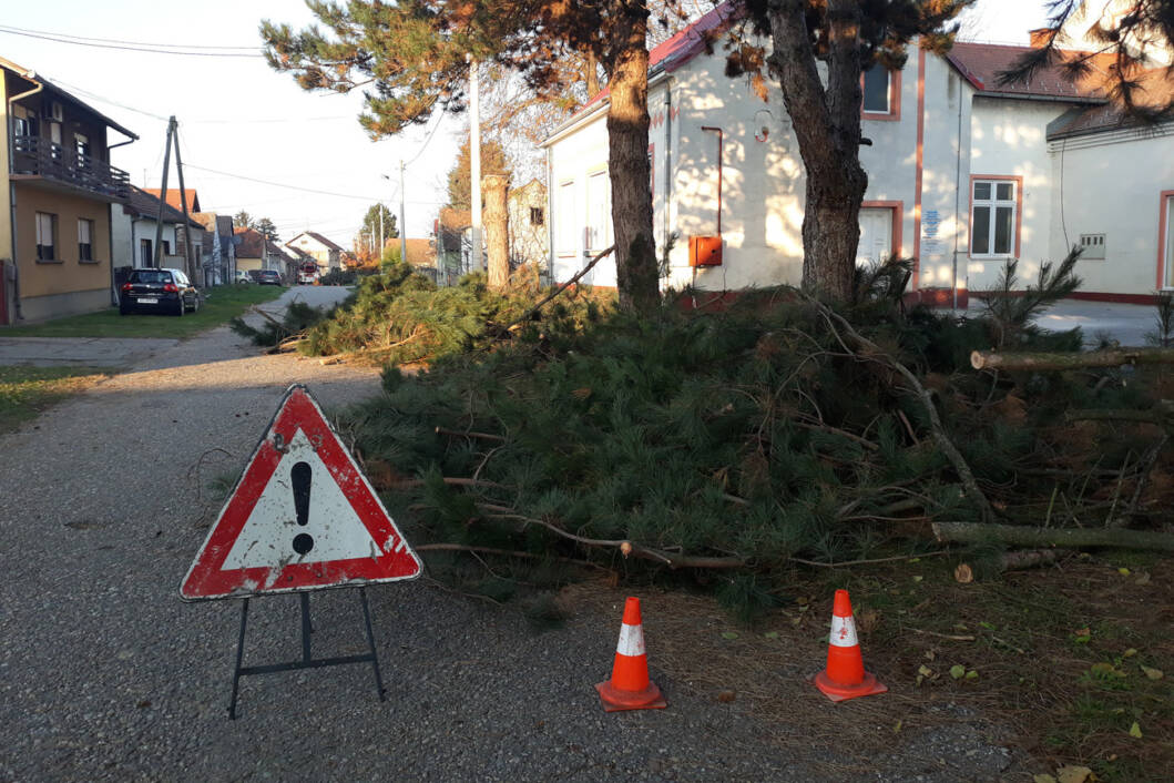 U ulici Ivana Viteza Trnskog u Novigradu Podravskom uklonjena opasna stabla