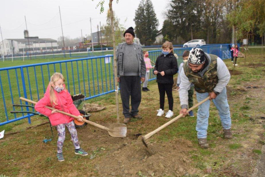 Općina Legrad aktivno sudjelovala u akciji 'Zasadi stablo, ne budi panj!'
