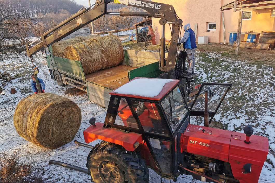 OPG Tratinčica je donirao osam roto bala sijena Udruzi za zaštitu životinja, prirode i društva Grgina arka, koje je prevezla koprivnička tvrtka Dens Commerce