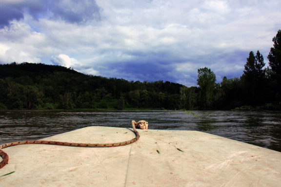 Jezero/voda/Legrad