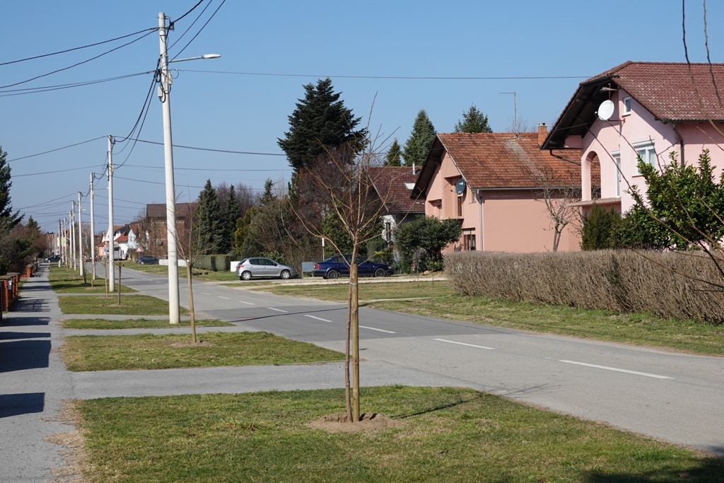 Uređenje đurđevačkih zelenih površina