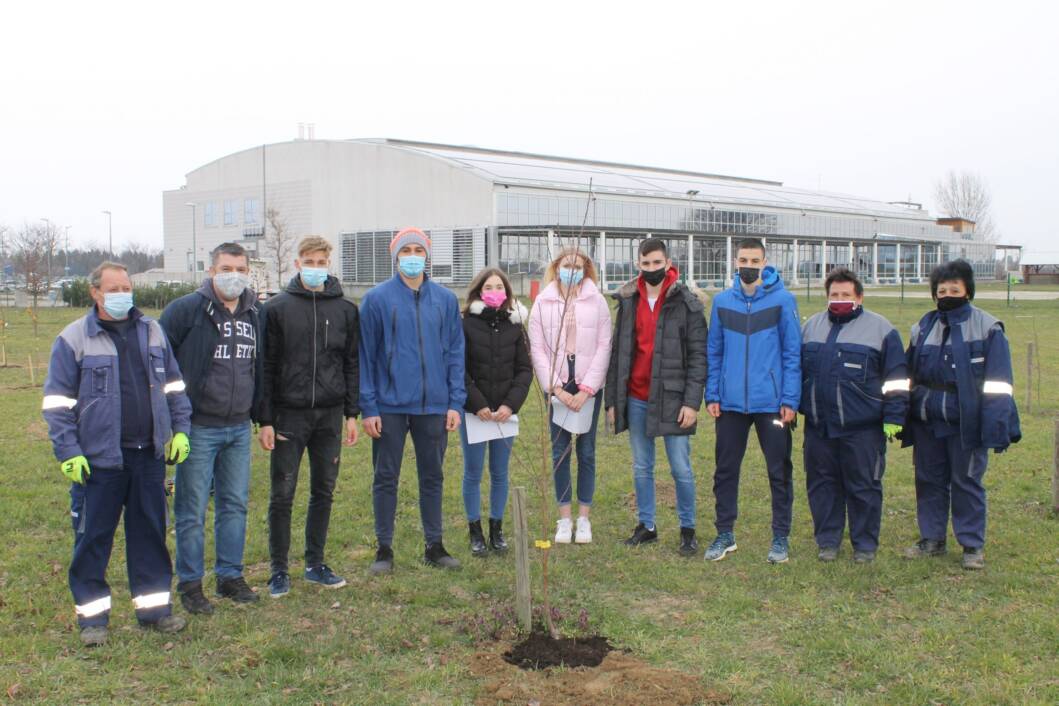 Učenici posadili nove voćke kod bazena Cerine