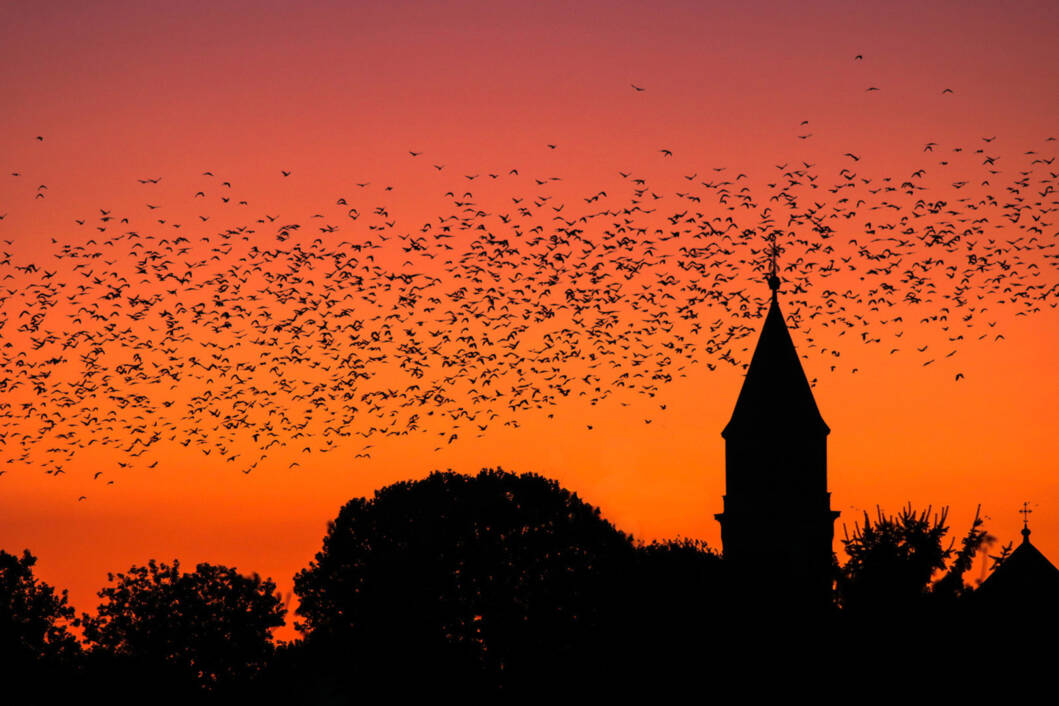 Fotografija s izložbe đurđevačkih fotografa // Izvor: Grad Đurđevac