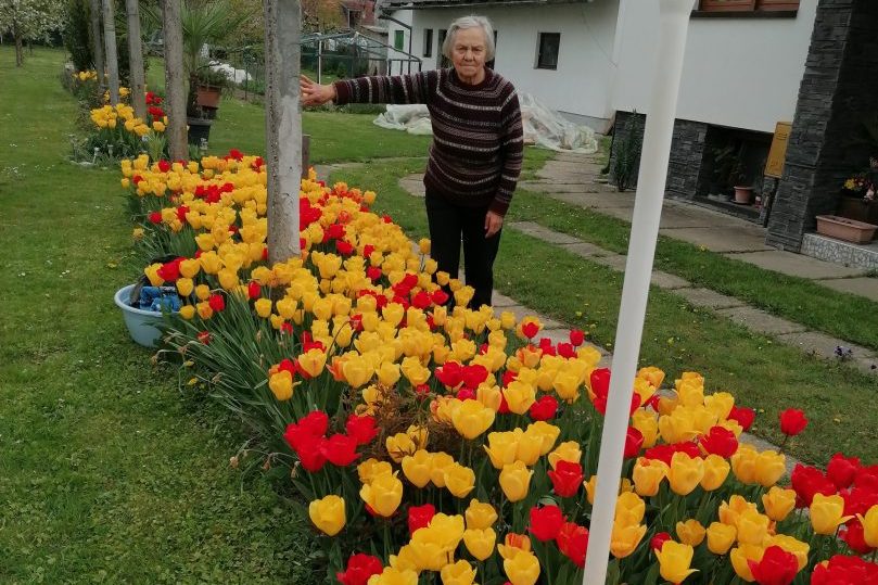 Nada Petković i njezini tulipani