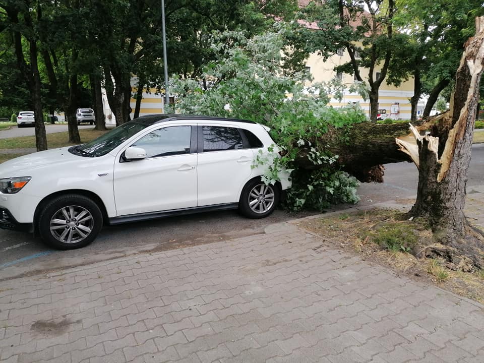 Stablo se srušilo na automobil u središtu Ludbrega