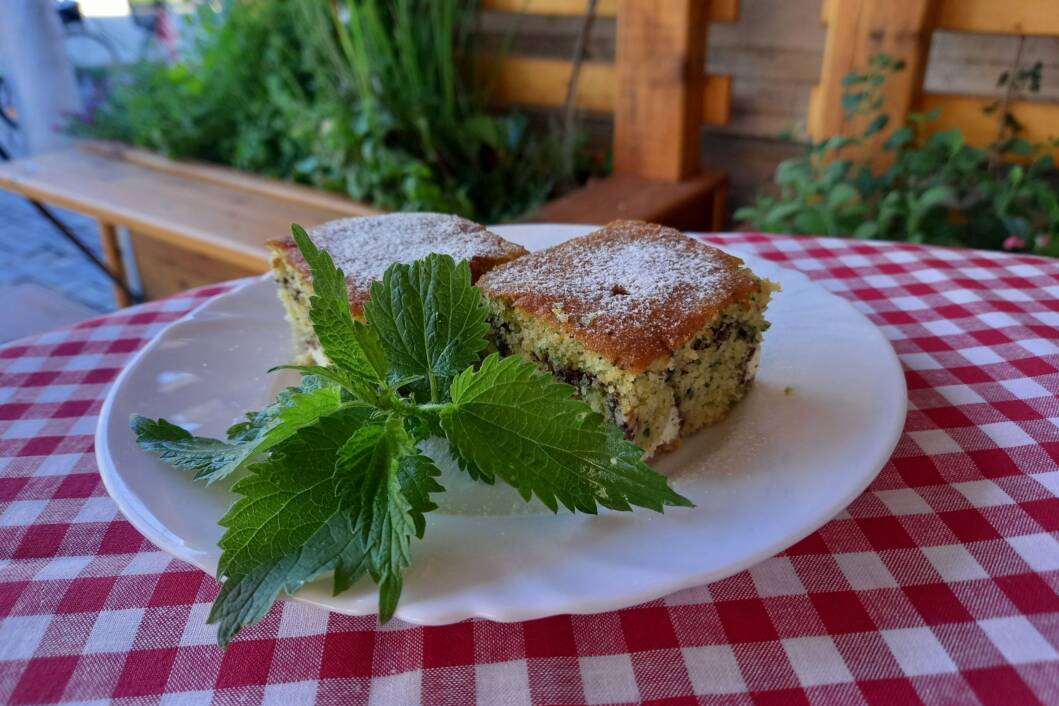 Domaća zlevanka s koprivom