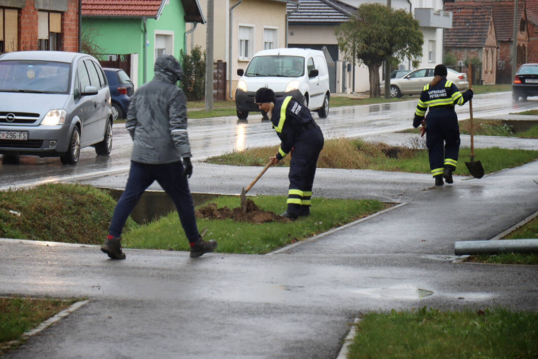 Sadnja stabala u Peterancu