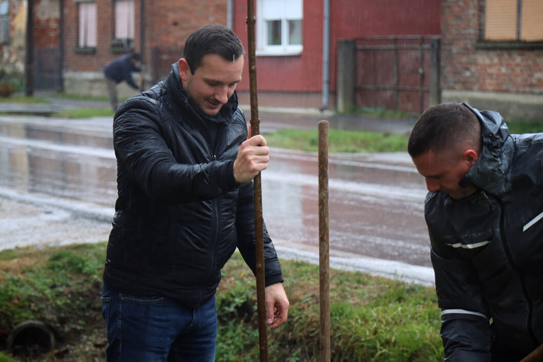 Sadnja stabala u Peterancu
