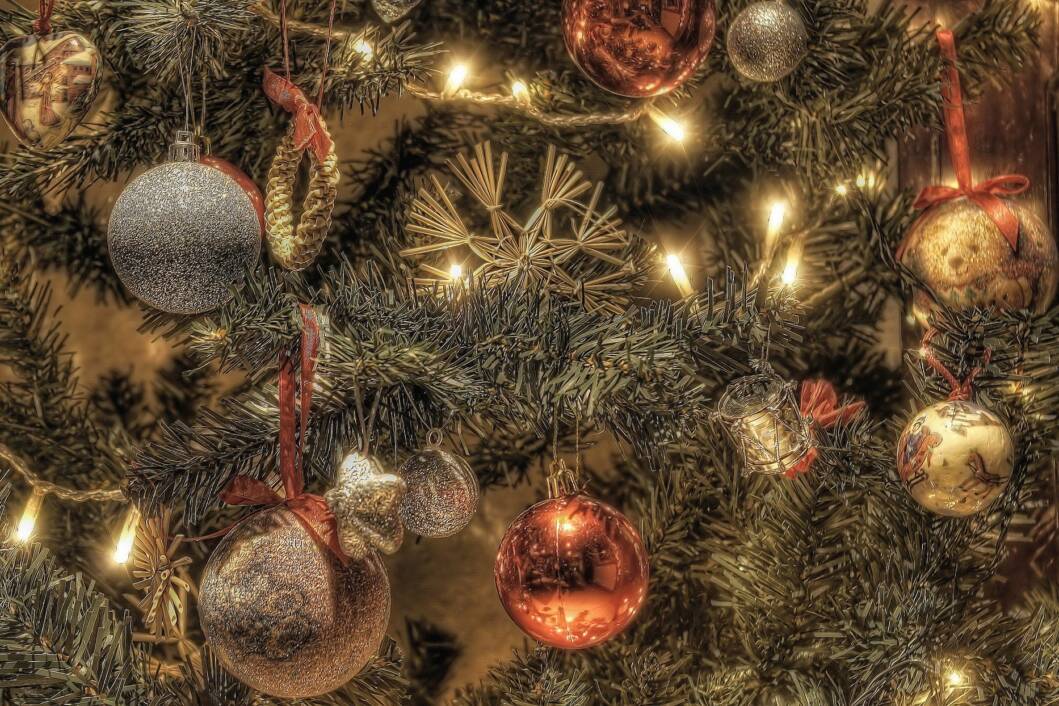 Božić/Bor/Božićno drvce
