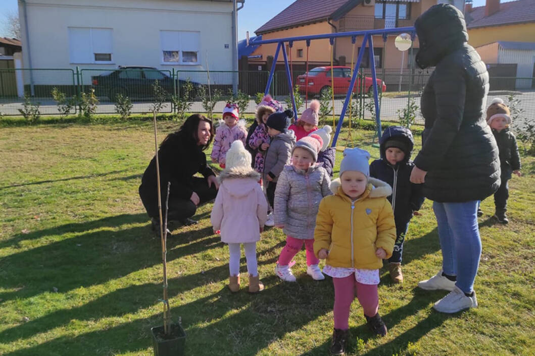 Sadnja stabala u dječjem vrtiću u Molvama 