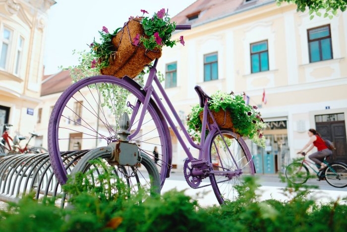 Bicikl i cvijeće