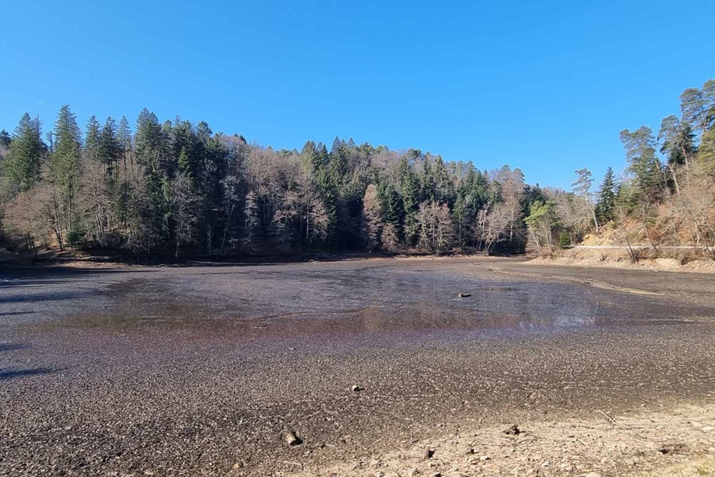 Jezero Trakošćan