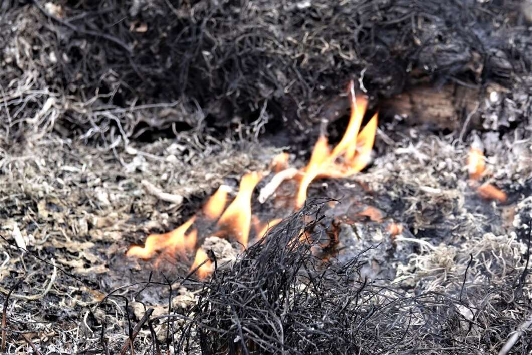 Požar/vatra/suha trava