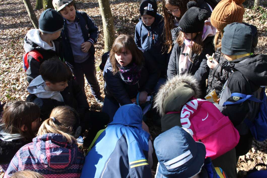 Koprivnički osnovnoškolci u Crnoj gori