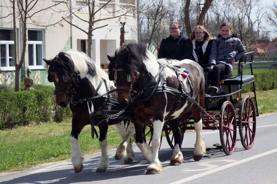 Blagdan Cvjetnice u Podravskim Sesvetama