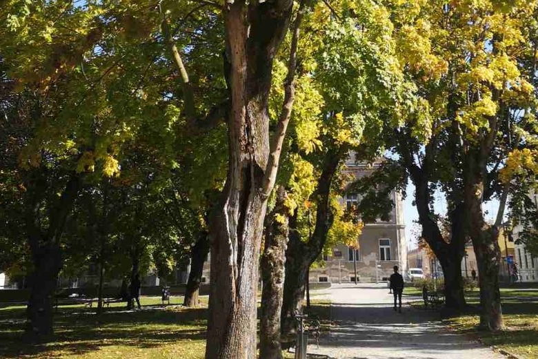 Koprivnički park