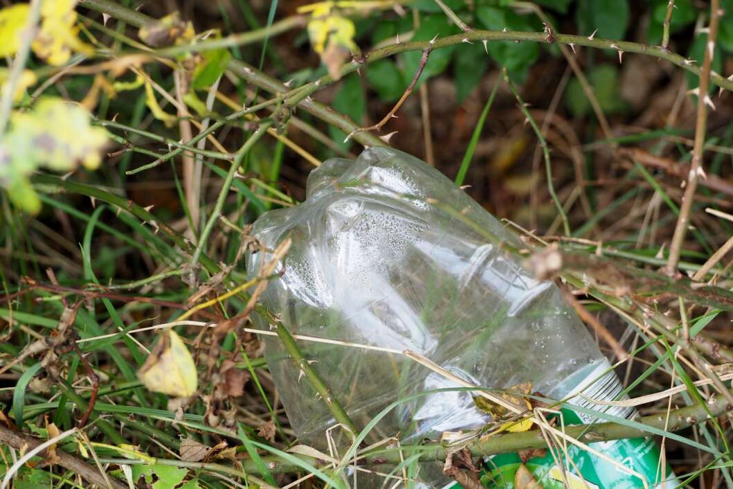 Plastična boca/otpad/šuma/priroda