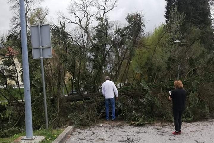 Bor je pao na automobil