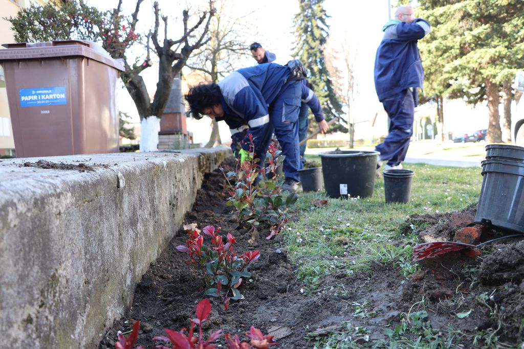 Uređenje javne površine u Meštrovićevoj ulici u Koprivnici