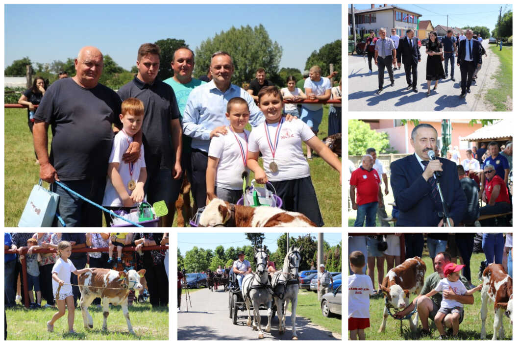 Dan Općine Gola