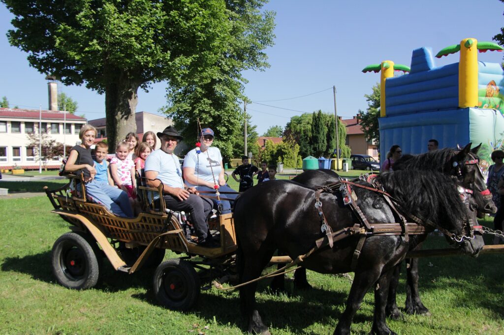 Konjska zaprega u Ferdinandovcu