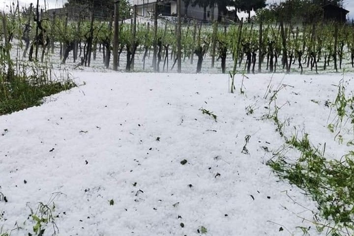 Užasne posljedice nevremena s tučom