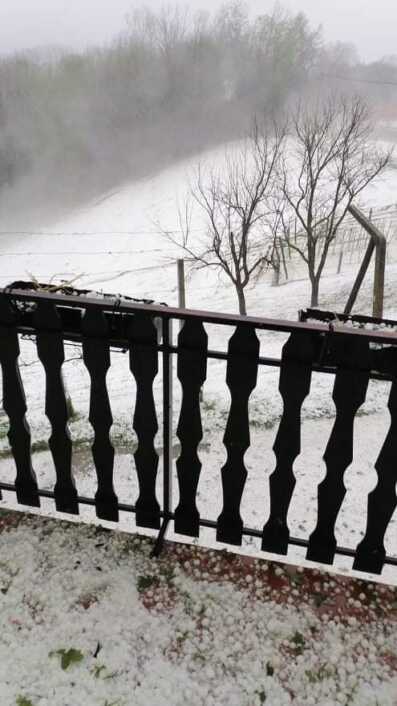 Tuča