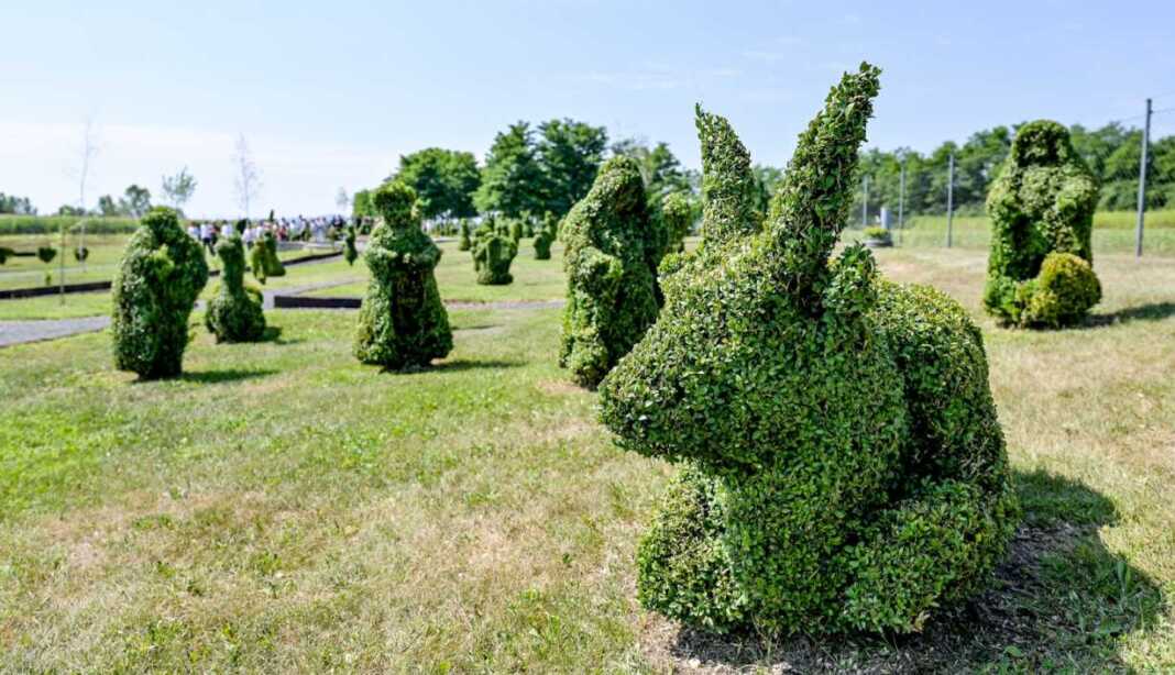 Zelene skulpture ostavljaju bez daha