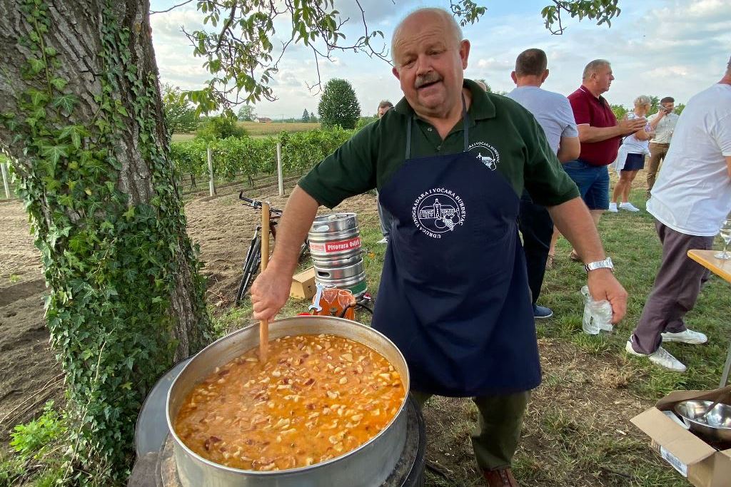 Proslava Bartolova u vinogradu obitelji Divjačko