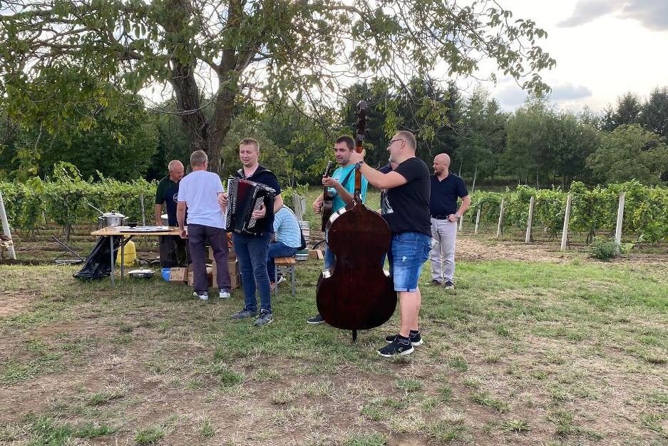 Proslava Bartolova u vinogradu obitelji Divjačko