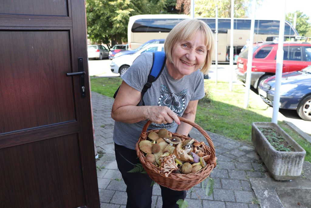 Gljivarijada na Vinici