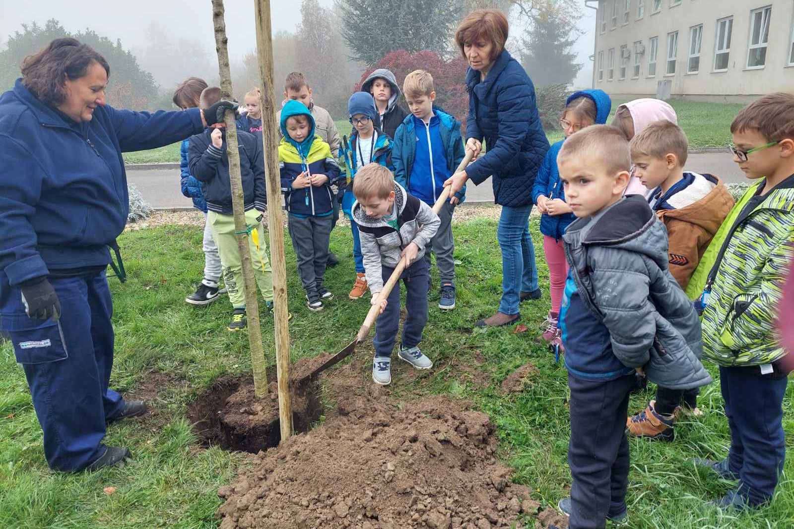 Sadnja stabala u parku OŠ Prof. Blaž Mađer u Novigradu Podravskom