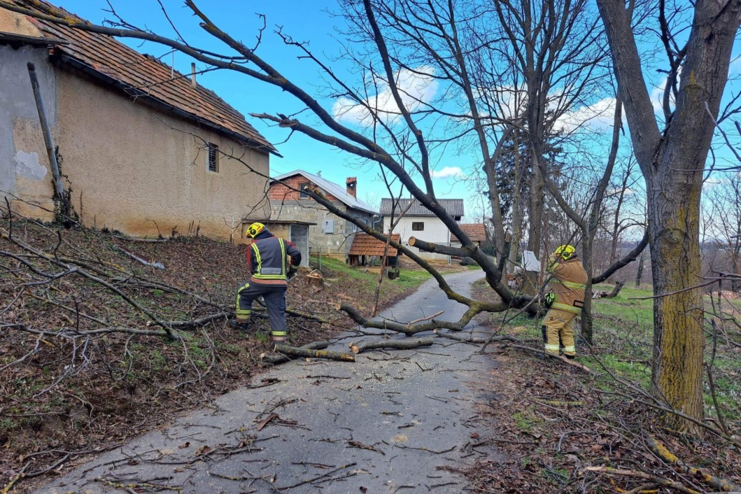 Vatrogasci uklanjaju drvo