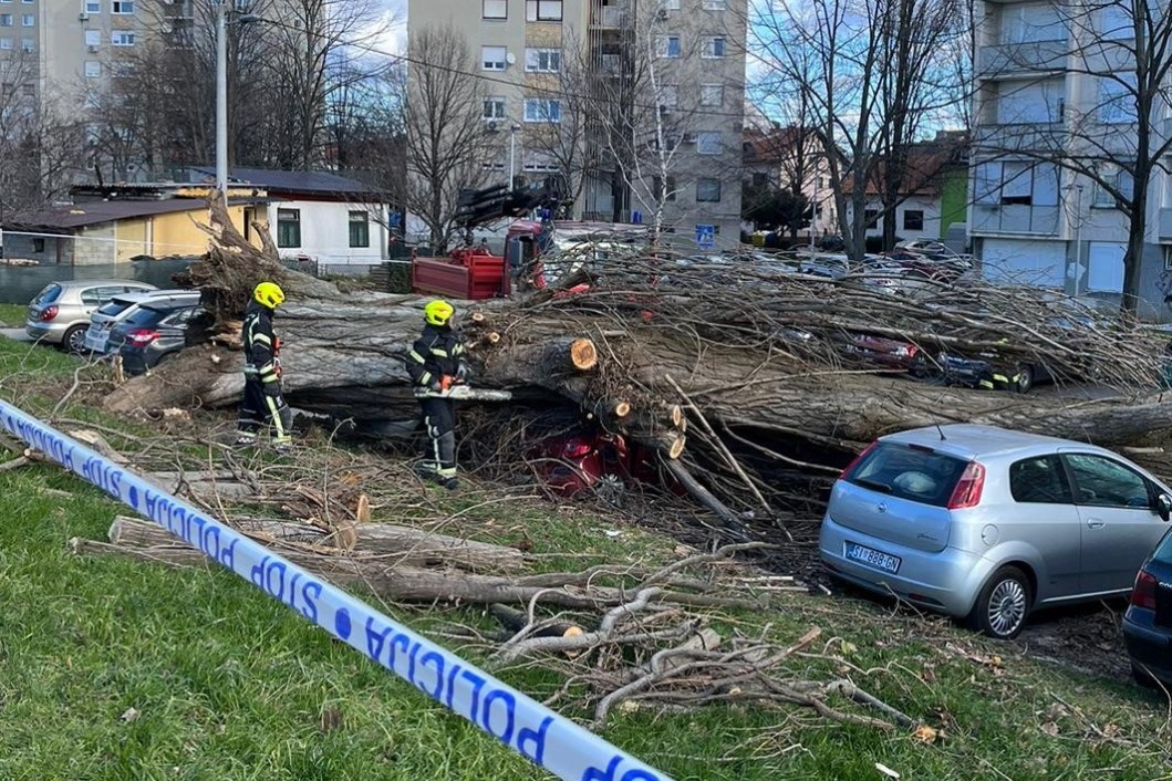 Vatrogasci uklanjaju drveće koje je palo na automobile u Zagrebu