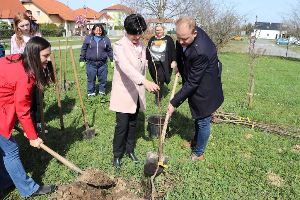 Sadnja šume hrane na koprivničkim Cerinama