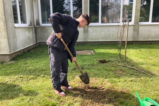 Sadnja bukve kod koprivničke Srednje škole